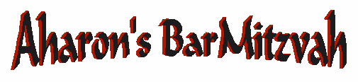 Aharon's BarMitzvah